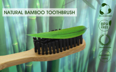 How Eco-Friendly Products Help the Environment