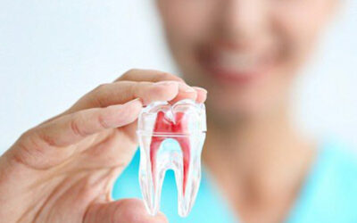THE ROLES AND STRUCTURE OF TEETH